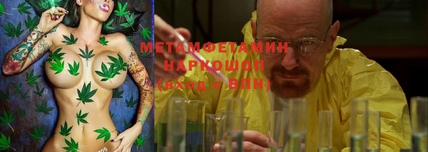хмурый Аркадак