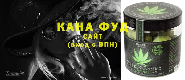 хмурый Аркадак