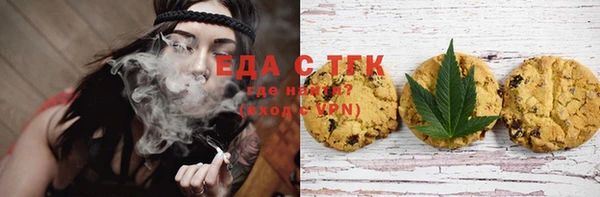 хмурый Аркадак