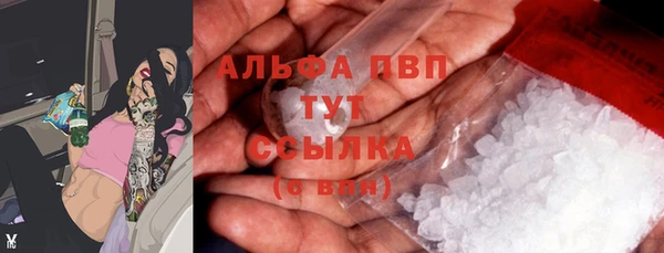 хмурый Аркадак