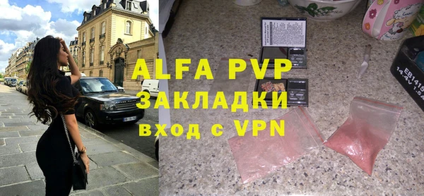 хмурый Аркадак