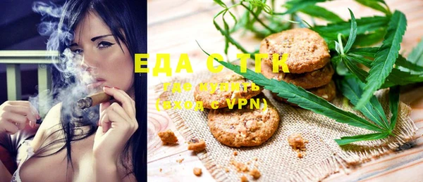 хмурый Аркадак