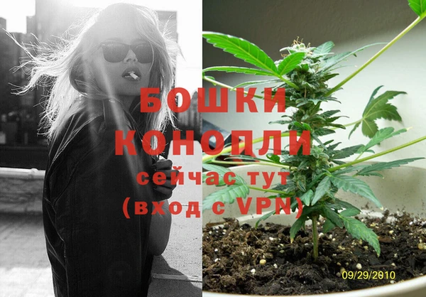 дмт Арсеньев
