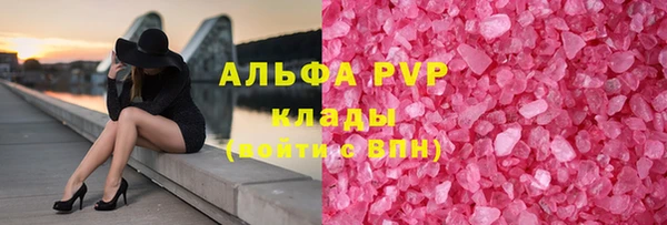хмурый Аркадак