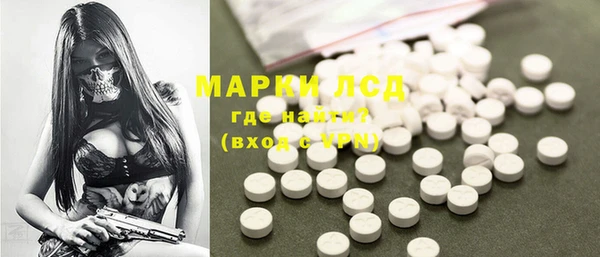 хмурый Аркадак
