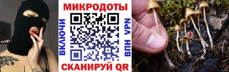 Галлюциногенные грибы ЛСД  KRAKEN онион  Нурлат  наркошоп 